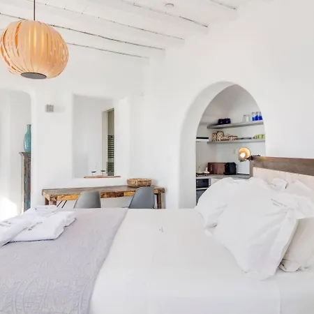 Aquata Boutique With Pool Holiday home Mykonos Town